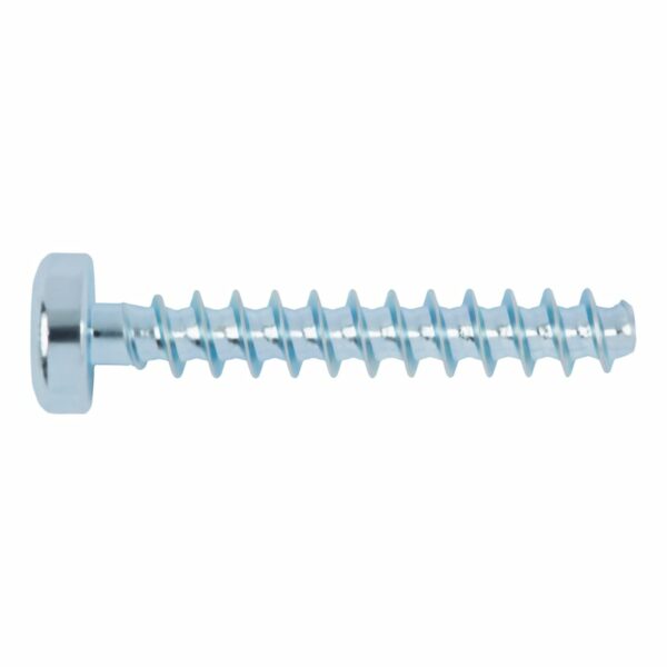 Vis à tête cylindrique bombée WÜPLAST® avec empreinte hexalobulaire