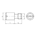 Vis à épaulement avec filetage et fente - 4 mm, 5.5 mm