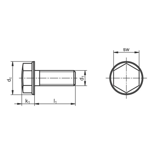 Boulon hexagonal à faible hauteur  Conception sanitaire – Image 2