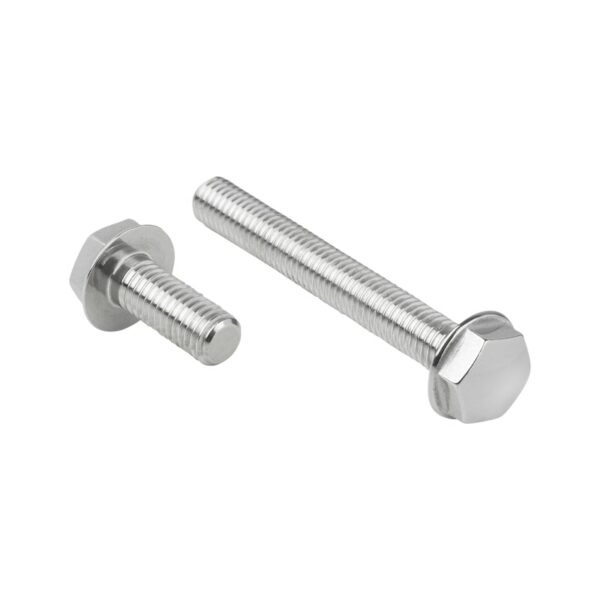 Boulon hexagonal à faible hauteur  Conception sanitaire
