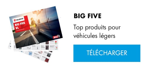 BIG FIVE - VEHICULE LEGER